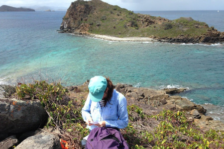 Dr. Louise Soanes, University of Roehampton, working on Seal Dog Islands. (photo by Jost Van Dykes Preservation Society)