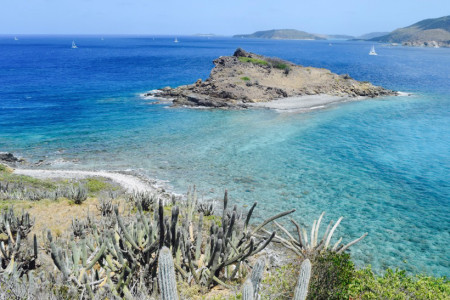 View of East Seal Dog Island taken from West Seal Dog Islands. (photo by Jost Van Dykes Preservation Society)