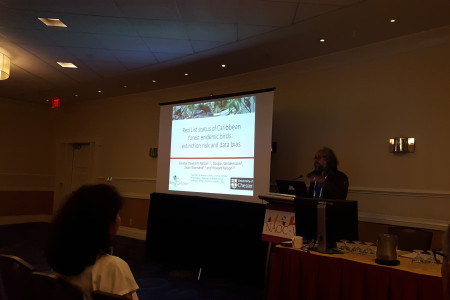 Howard presenting at the BirdsCaribbean/NAOC meeting. (photo by Ellie Devenish-Nelson).