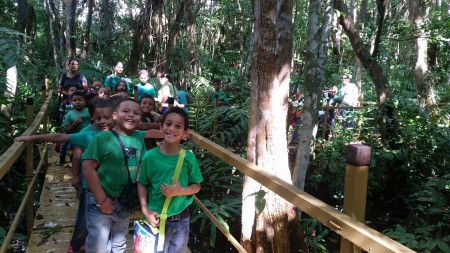 Students from the Luciano Rios Elementary School connecting with nature and looking for migratory birds in the boardwalk of the Pterocarpus Forest in Palmas del Mar of Humacao, PR as part of IMBD 2016 coordinated by Ingrid Flores.  (Photo by Janisse Rivera)
