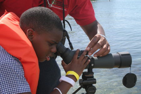 The CWC is also an excellent tool for engaging young people to learn about birds, as demonstrated by the National Environment Planning Agency in Jamaica.