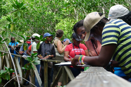 Participants creating an acoustic map of the different sounds they hear while in the mangrove forest. (Activity 6-J, Sounds Wild, in Wondrous West Indian Wetlands—Teachers' Resource Book, photo by Jessica Rozek)photo by Jessica Rozek)