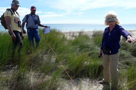 Ann Haynes-Sutton teaches participants about line transects through coastal ecosystems. (Activity 6-L, From the Land to the Sea, in Wondrous West Indian Wetlands—Teachers' Resource Book, photo by Jessica Rozek)