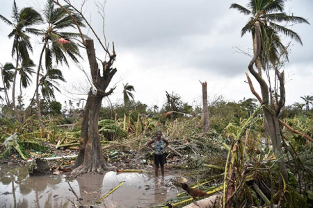 A woman stands in a field of destroyed trees after the passing of Hurricane Matthew, in Sous Roche in Les Cayes, in Southwest Haiti, on October 6, 2016. AFP Photo / Hector Retamal