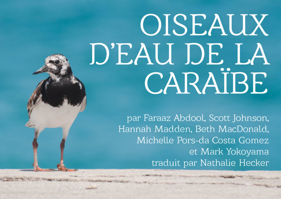 Oiseaux-deau-de-la-Caraibe-Cover