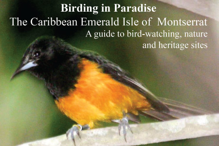 Perhaps the only guide you’ll ever need for the island of Montserrat.
