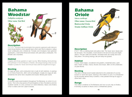 The guide includes 60 common birds of the Bahama Islands described using large fonts and simple language- a perfect addition to any new birder's collection! 