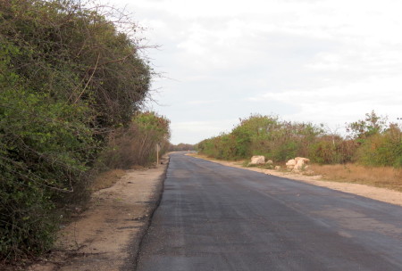 The road where the Kirtland’s Warbler was spotted on Cayo Guillermo, one of the Cayo Coco Cays on the northern coast of Cuba. The road leads to Playa Pilar beach and beyond that to a new hotel under construction. (photo by Anne Goulden)