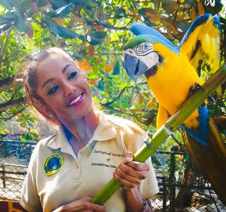 Sharleen Khan holding a Blue-and-Yellow Macaw at the Emperor Valley Zoo in Trinidad. This macaw is the zoo’s Animal Ambassador and is part of the zoo’s education program where the macaw is used to  raise awareness of wildlife conservation, specifically conservation of this species in the wild. (Photo courtesy of Emperor Valley Zoo) 