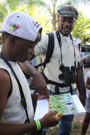 Jermy Shroeter, a ranger at the Blue and John Crow Mountains National Park, helps a BirdSleuth Caribbean camp participant in Jamaica identify a bird in the Bird Detective game (Lesson 8) 