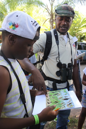 Jermy Shroeter, a ranger at the Blue and John Crow Mountains National Park, helps a BirdSleuth Caribbean camp participant in Jamaica identify a bird in the Bird Detective game (Lesson 8)
