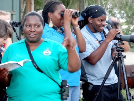 Birding at Adelaide