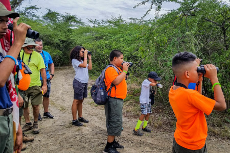 A birding trip to Jobos Bay Reserve in Puerto Rico.