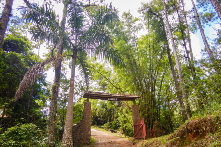 Entrance to Codina Park.