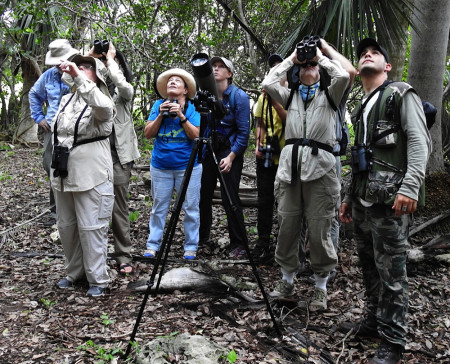 Catching a glimpse of Cuban Vireos and Yellow-headed Warblers in Bermeja. (Photo by Ericka Gates)