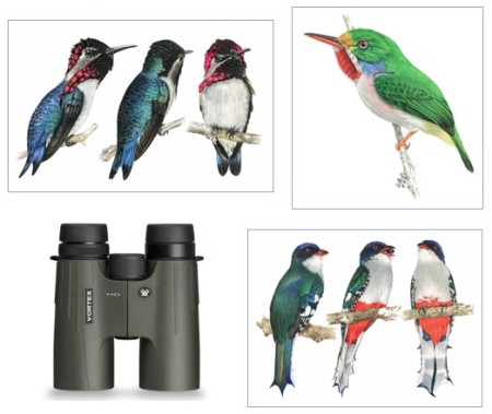 Raffle prizes include gorgeous endemic bird artwork and a fantastic pair of Vortex binoculars.