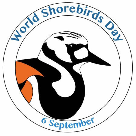 World Shorebirds Day logo featuring a Ruddy Turnstone.