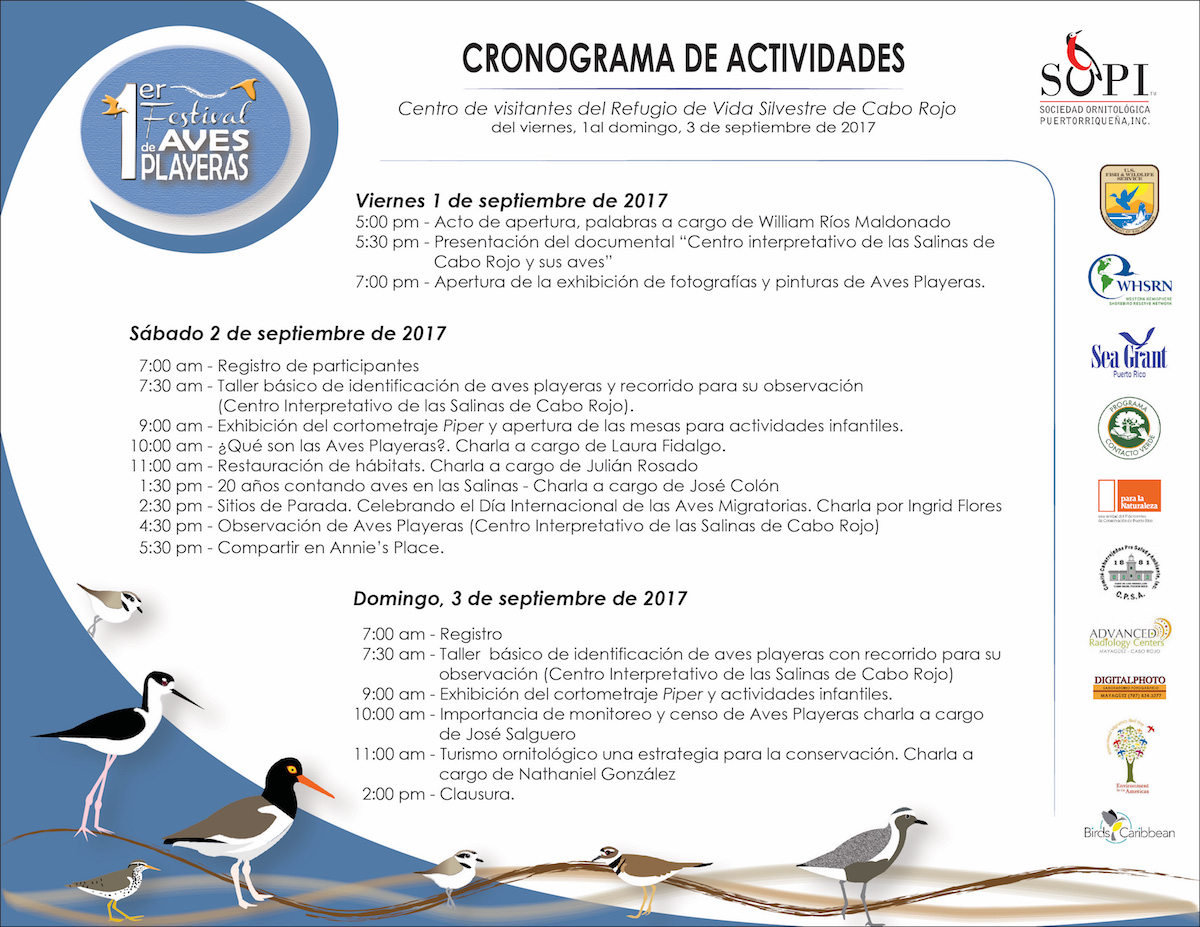 Schedule of activities for the 1st Shorebird Festival in Puerto Rico - join the fun!