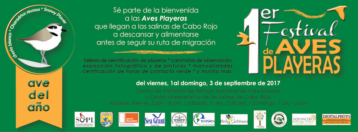 First Shorebird Festival in Puerto Rico, organized by Sociedad Ornitológica Puertorriqueña (SOPI).