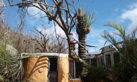 As vegetation recovers, hummingbird feeders such as this one at a residence in BVI are critical for bird survival.