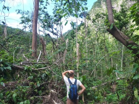 Our companion Chris Couldridge inspects with disbelief the mangled vegetation on the crater floor (photo by Frank Rivera-Milan)