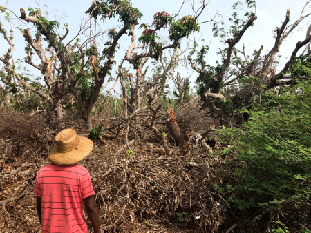 Dwayne Philip pondering the best route through the damage to our next survey point (Photo by Jeff Gerbracht)