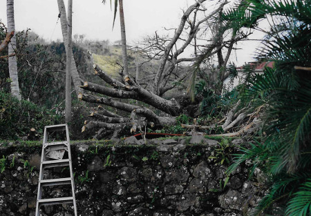 Cleaning up the damage after Hurricane Georges. (Photo by Mandy McGehee)