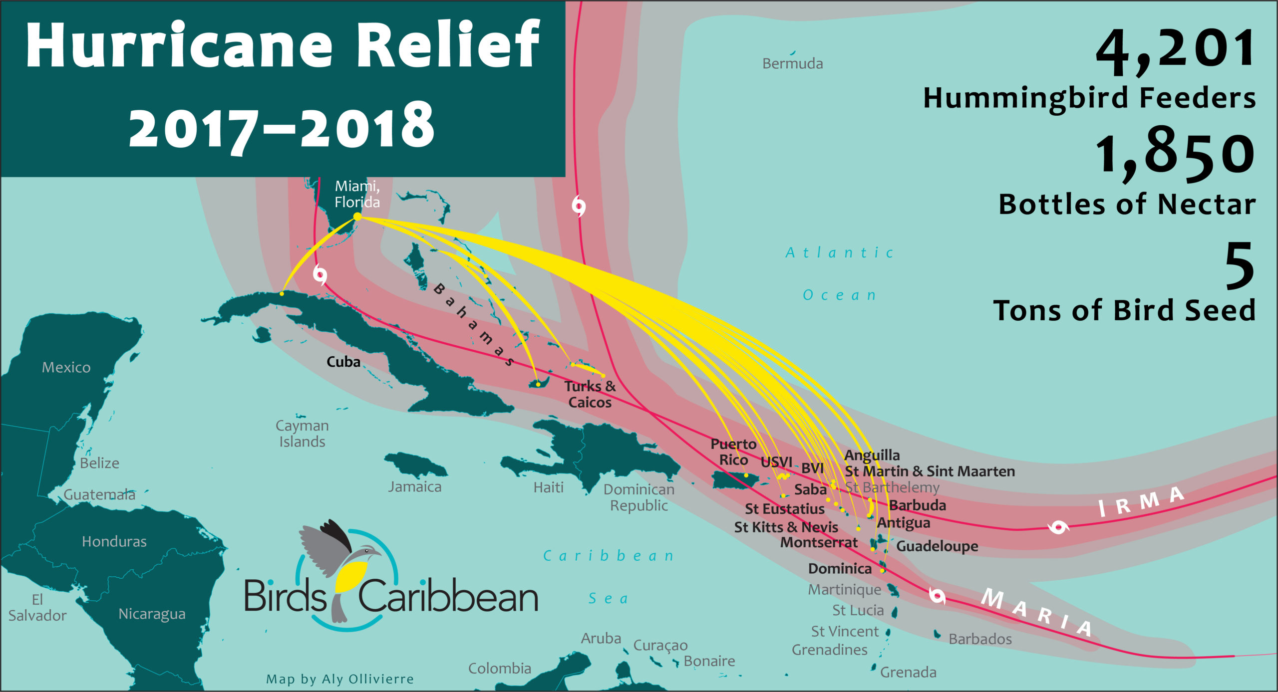 It is estimated that over 60 species of birds were helped, including Bananaquits hummingbirds, pigeons, doves, parrots, thrashers, grassquits, and bullfinches-many found only on one or a few Caribbean islands