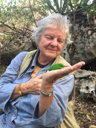 Stones with holes made by Wrinkled Rock Borers (& other seashore creatures)  – Jessica's Nature Blog