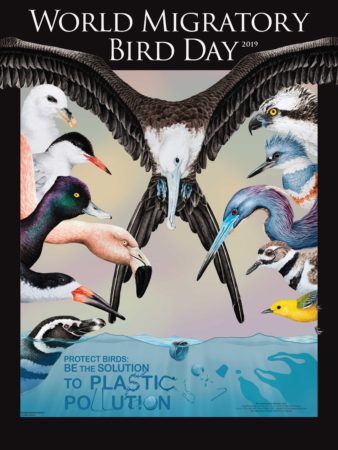 World Migratory Bird Day Poster showing different groups of birds that are affected by plastic pollution. (Artwork by Arnaldo Toledo)