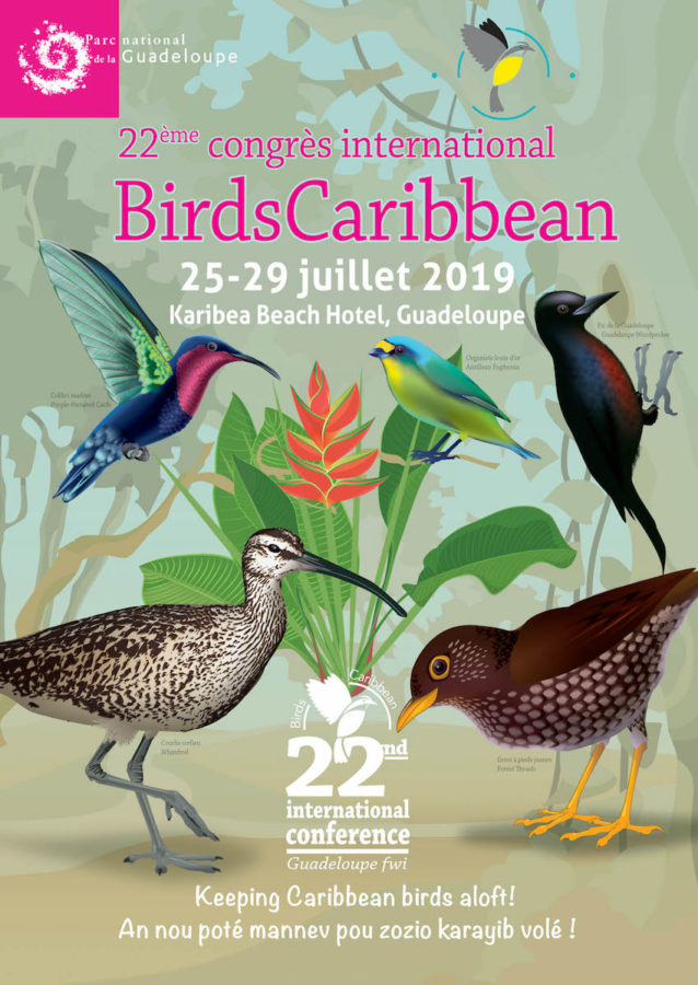 "Keeping Caribbean Birds Aloft" was the theme of BirdsCaribbean's 22nd International Conference in July in Guadeloupe.