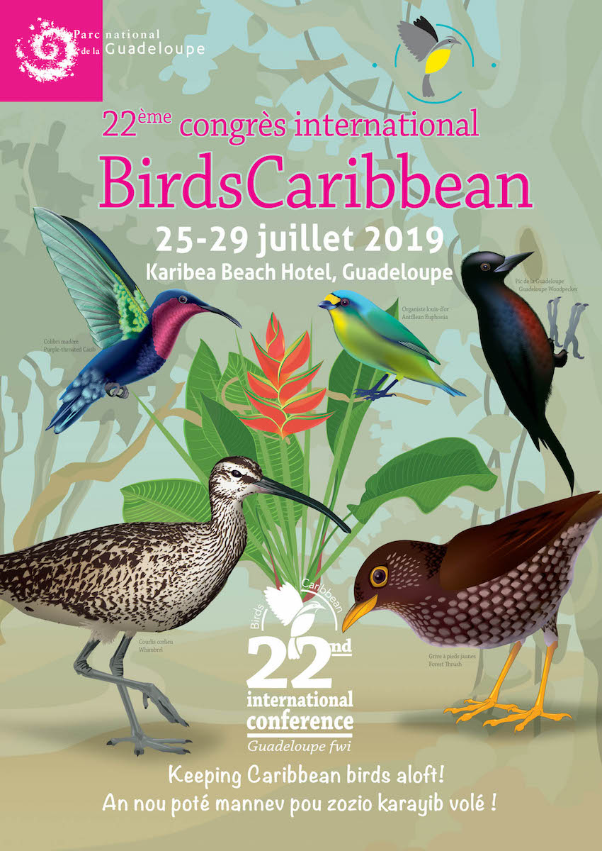 Threatened Birds – BirdsCaribbean