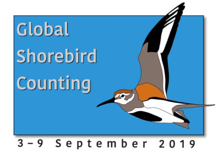 Global Shorebird count - 3-9 September, 2019