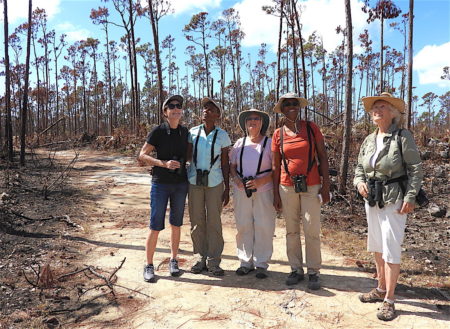 Grand Bahama Island Birders Group-Post Hurricane Dorian Bird Survey trip