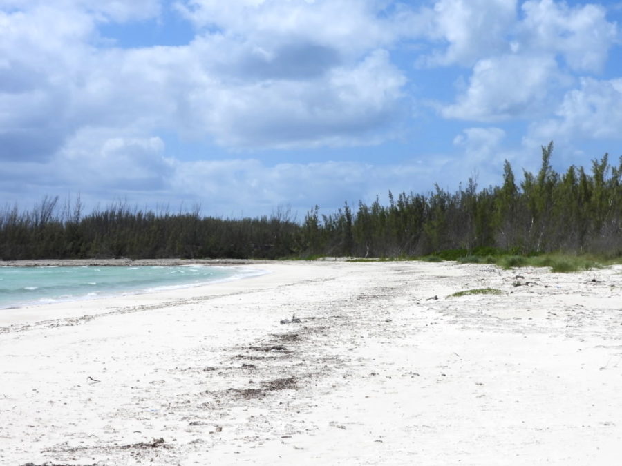 Bend in the Road beach, Grand Bahama.