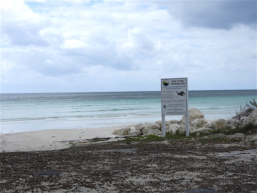 Pelican Point before Hurricane Dorian.