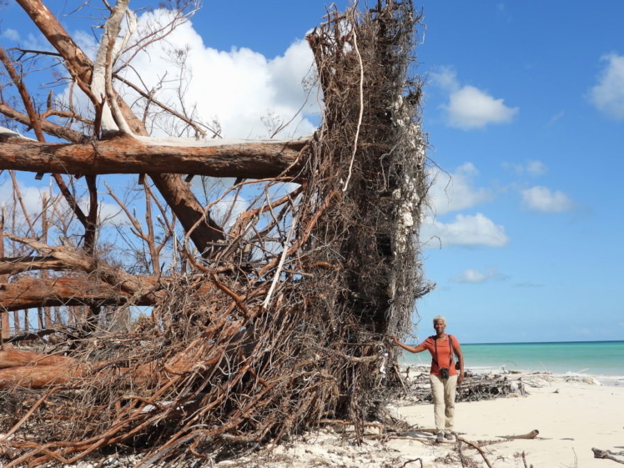 Pelican Point beach after Hurricane Dorian.