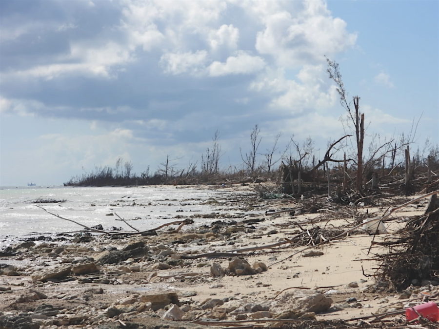 Pelican Point Beach post-hurricane Dorian - no shorebirds were seen.