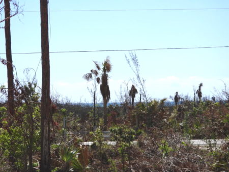 View of the ocean from the Lucayan National Park Visitor Centre