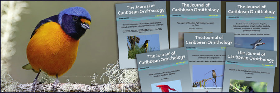 Antillean Euphonia and covers of the Journal of Caribbean Ornithology