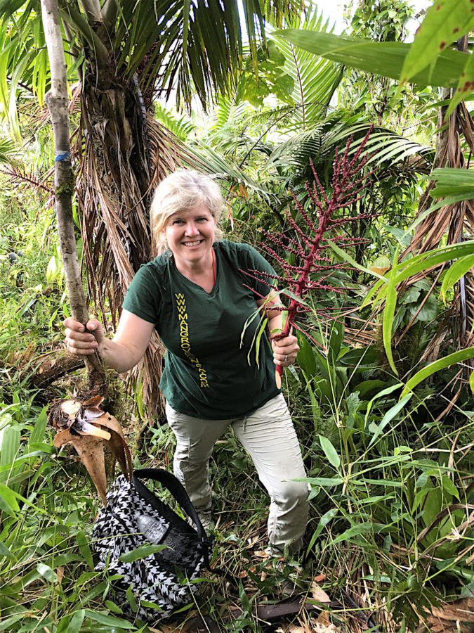 Jennifer Wheeler takes a break on a newly opened trail in Trois Pitons National Park, Dominica, during a January 2020 expedition to look for evidence of Black-capped Petrels on that island. 