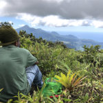 Stephen Durand takes in the view overlooking a Dominica valley where radar detected petrel movements in and out of the nearby peaks.