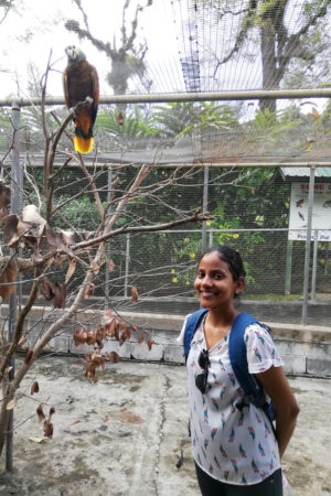 At the breeding facility at the Botanic Garden