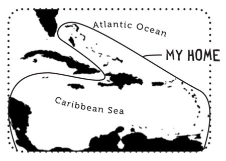 Bananaquit range map