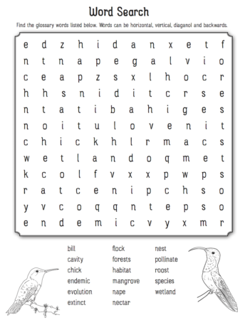 Bird Word Search