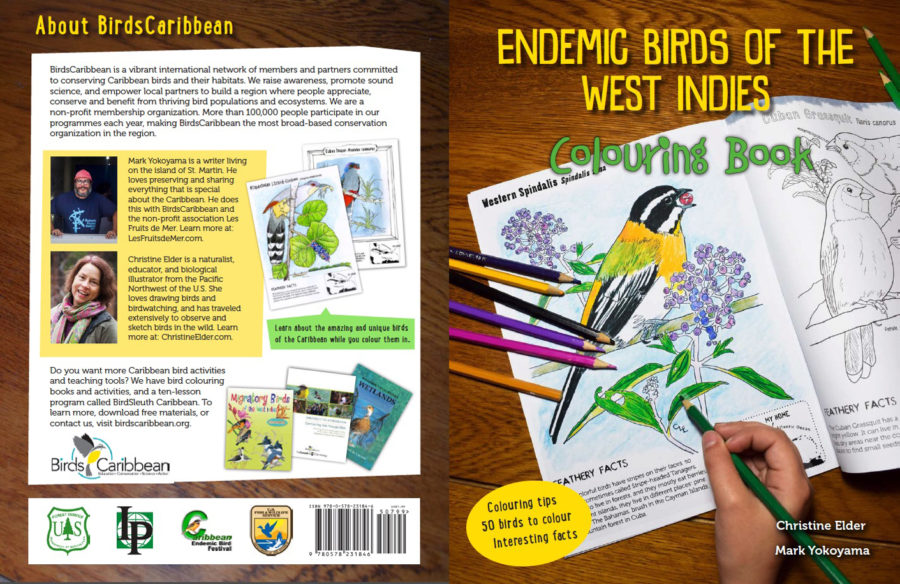 Back and Front Covers of the Colouring Book