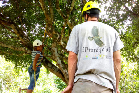 Peregrine Fund seasonal biologist, Julio Gañan, trains one of our local volunteers, Fredelina Espino Campo, in tree climbing techniques