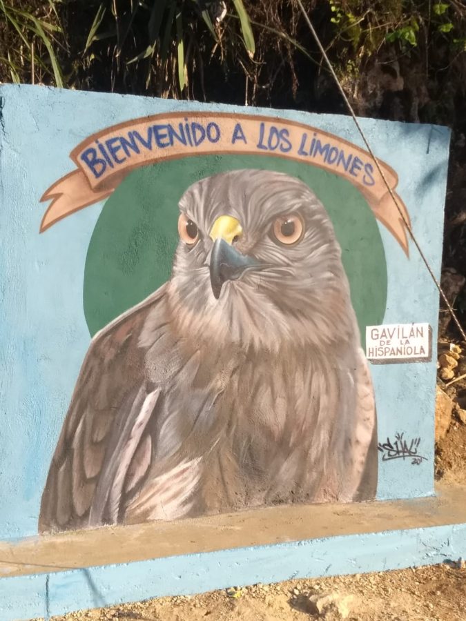 ATLANTIC FOREST 15 AVES DOLLARS BIRDS HAWK 2016 SPECIMEN UNC