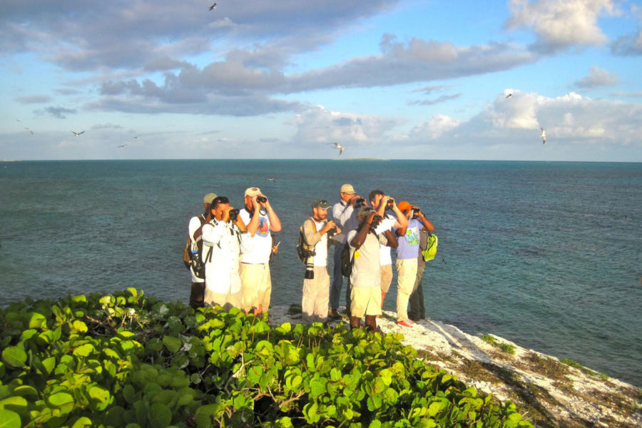 Group birding on Catto Cay