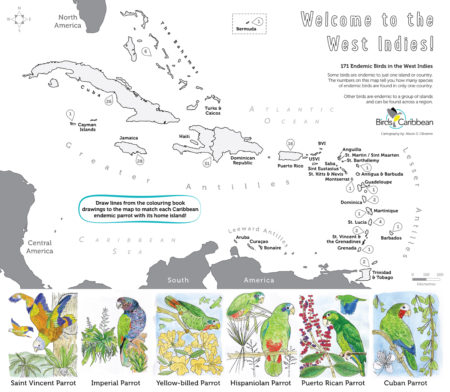 Caribbean Endemic Bird Festival Coloring Map